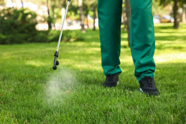 Best Pest Control Treatment  in Holly Ridge, NC