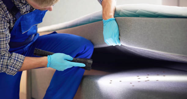 Best Affordable Pest Control Services  in Holly Ridge, NC