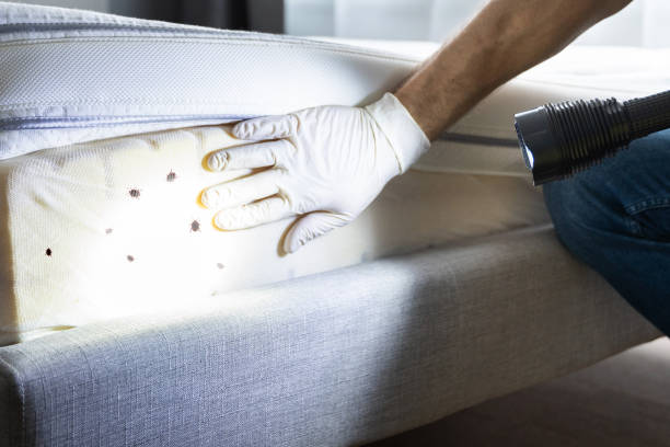 Best Rat Extermination Near Me  in Holly Ridge, NC