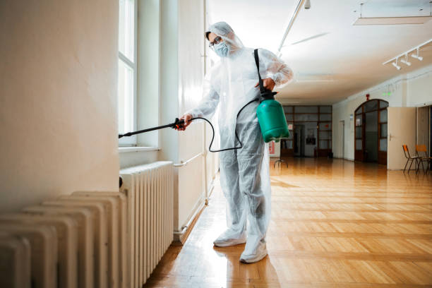 Professional Pest Control in Holly Ridge, NC