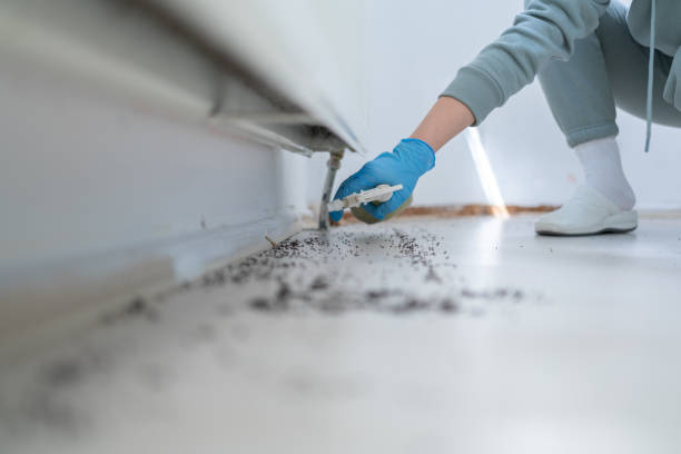 Best Pest Inspection Near Me  in Holly Ridge, NC